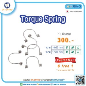 Torque Spring
